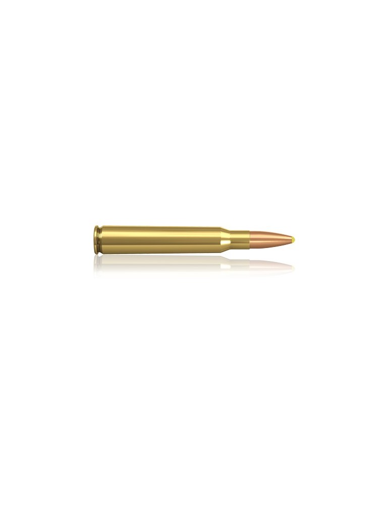Norma .308 Win. Pointe Plastique 180 gr