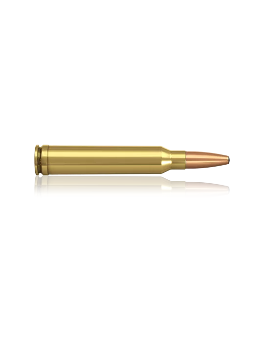 Norma .300 Win. Mag. Oryx 165 gr