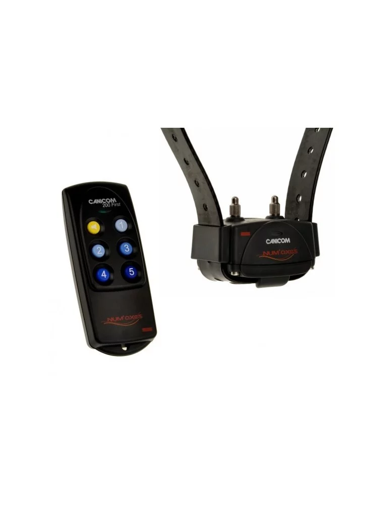 Pack Canicom 200 First collier + télécommande