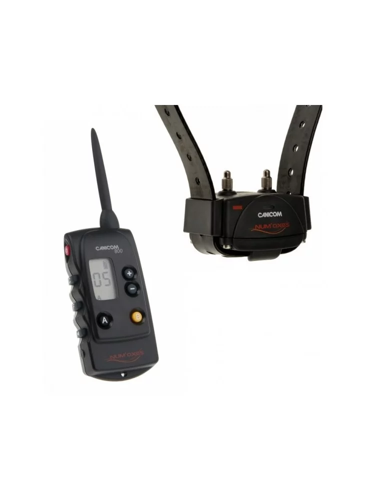 Pack Canicom 800 collier + télécommande