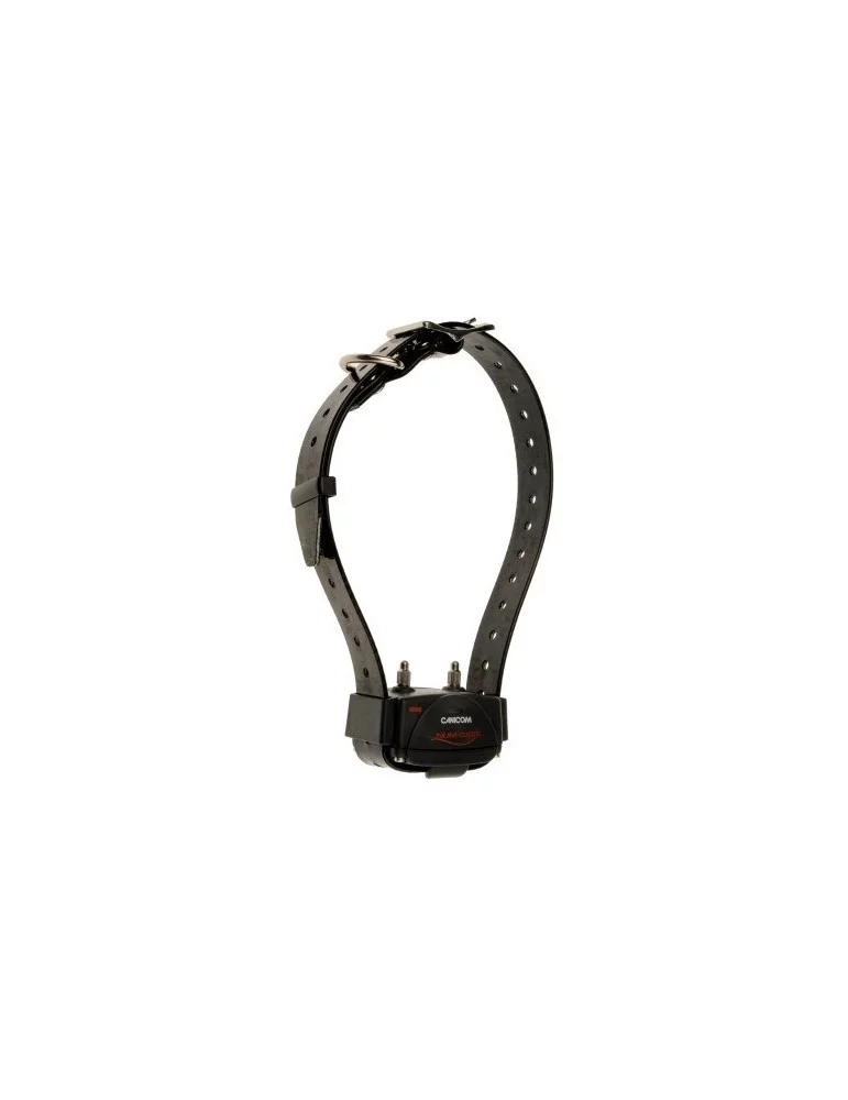 Pack Canicom 800 collier + télécommande