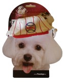 5 chapeaux casquettes (taille S) pour le chien