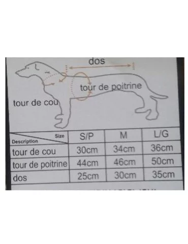 Doudoune Courchevel pour chien 2