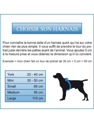 Harnais Modern Art et strass pour chien 2