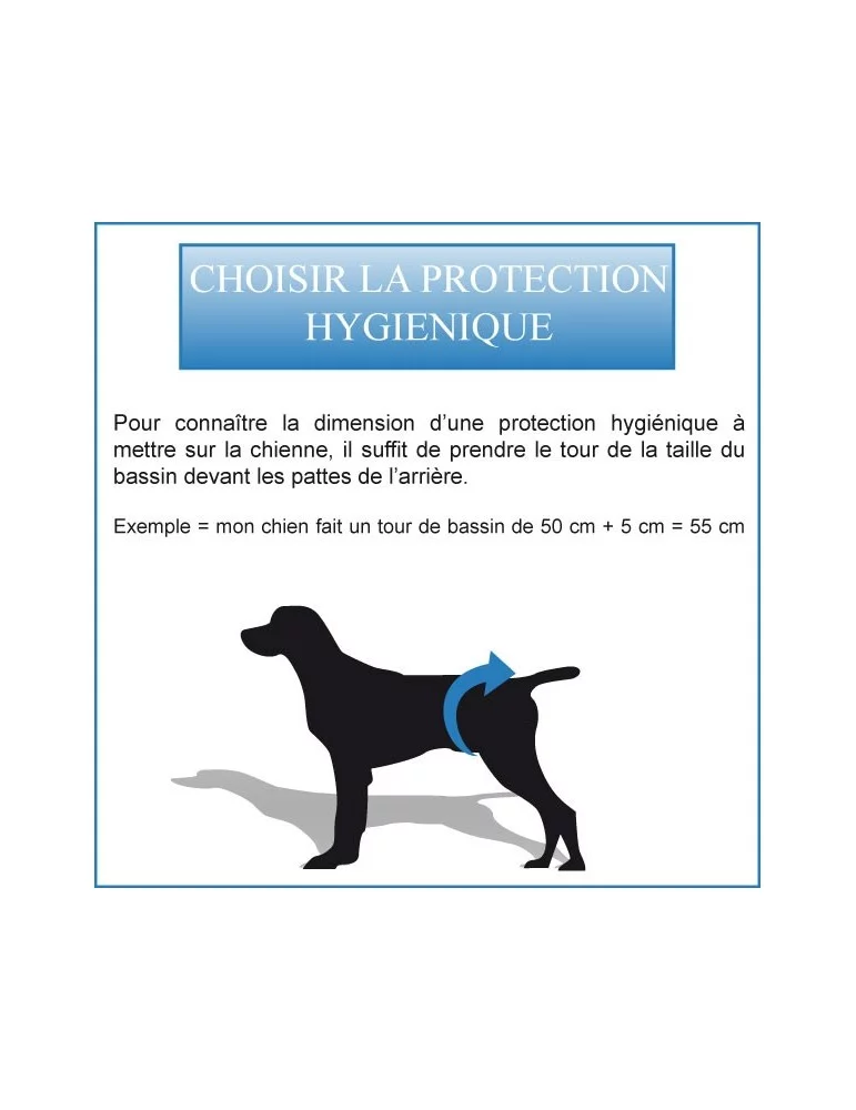 Slip hygièniques pour chien