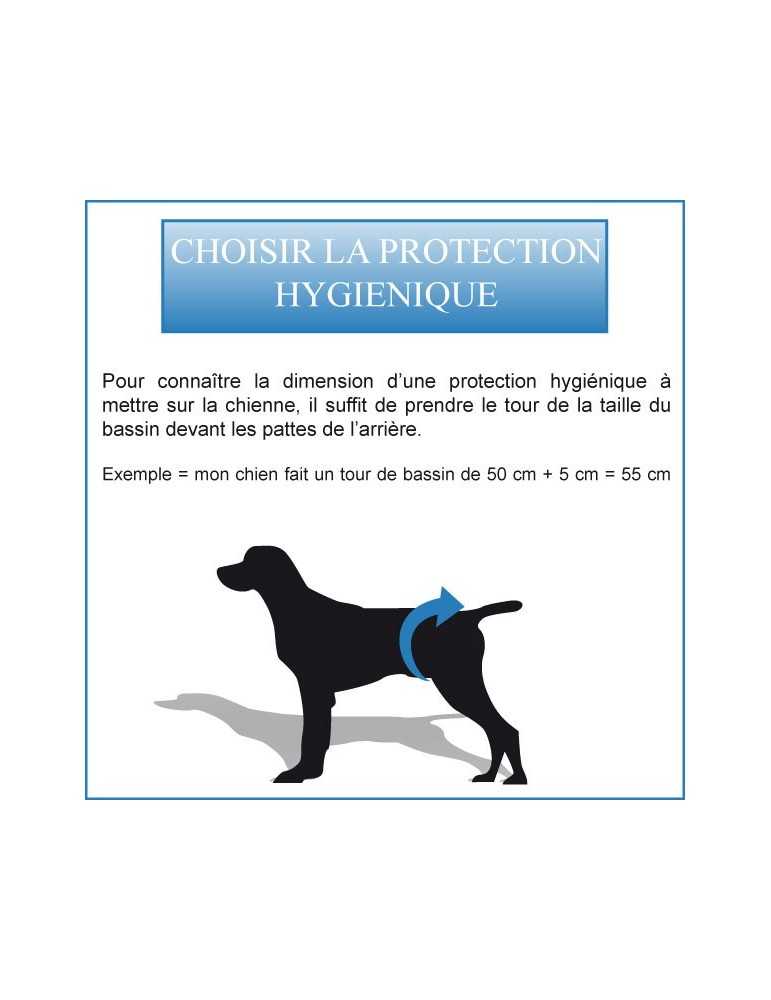 Slip hygièniques pour chien