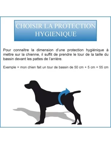 Culotte hygiènique (taille 1) pour chien  2