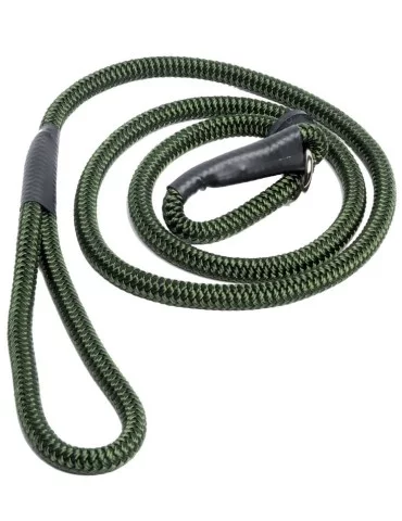 Laisse lasso pour chien kaki