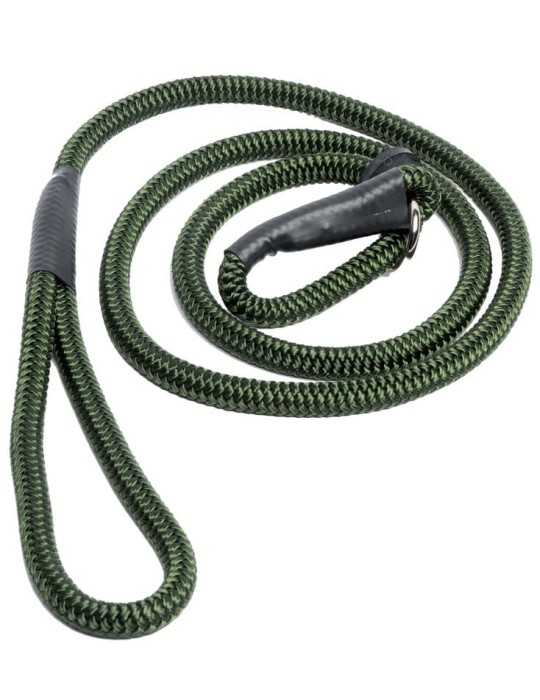 Laisse lasso pour chien kaki