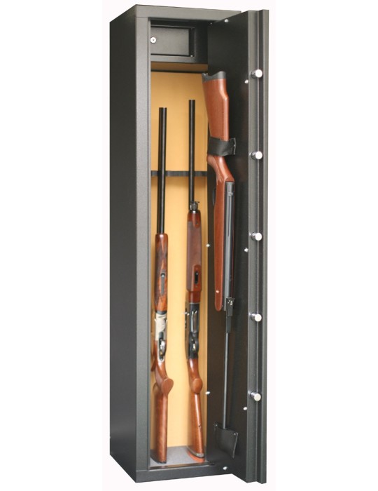 Armoire forte Sentinel Infac 6+1 armes