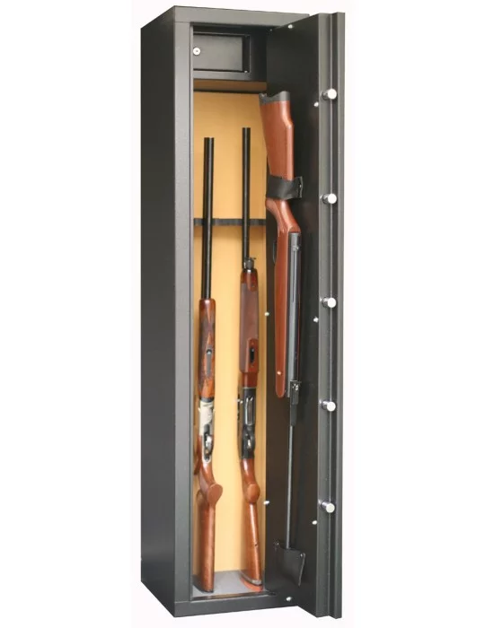 Armoire forte Sentinel Infac 6+1 armes