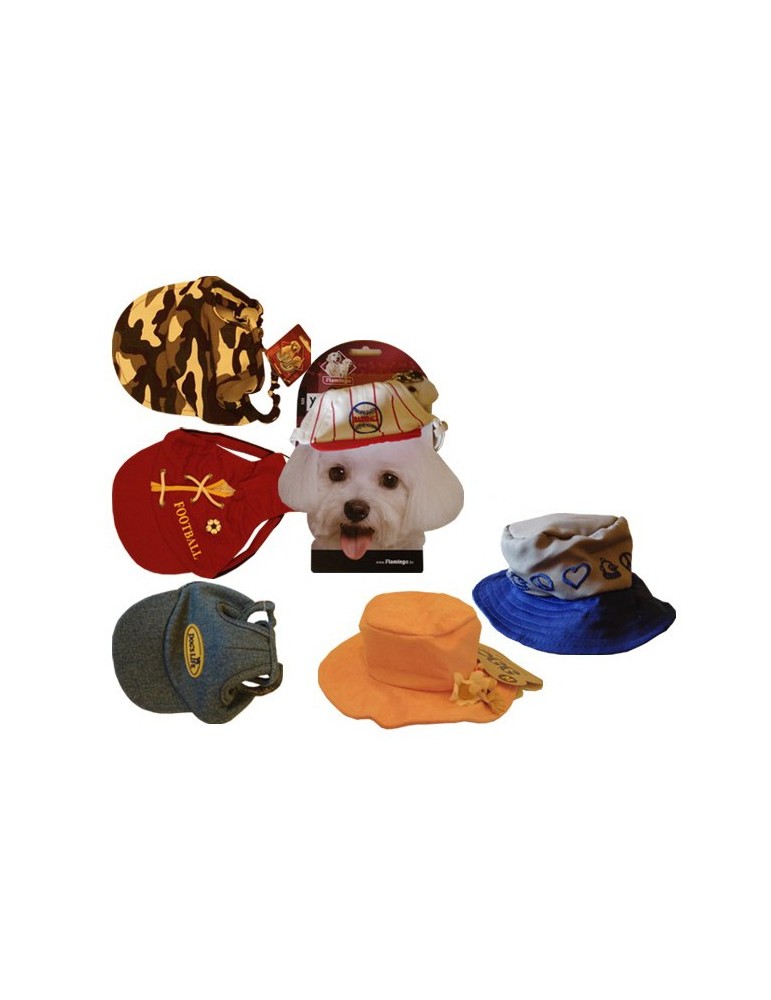 6 chapeaux casquettes (taille M) pour le chien