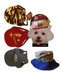 5 chapeaux casquettes (taille S) pour le chien