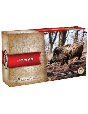Norma .30-06 Pointe Plastique 180 gr
