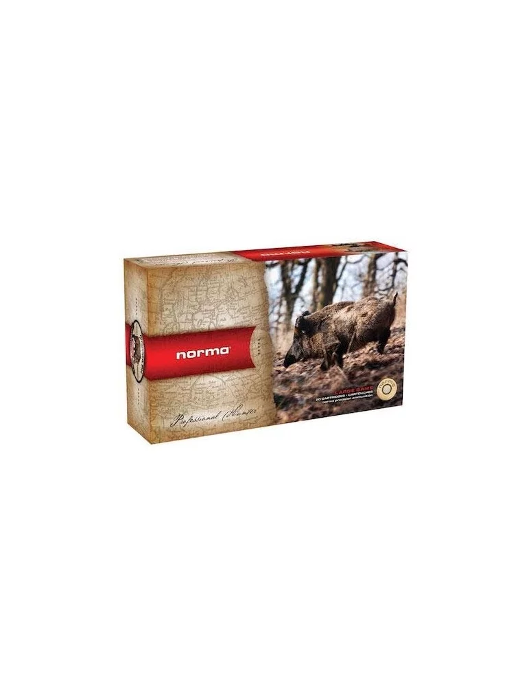 Norma .30-06 Pointe Plastique 180 gr