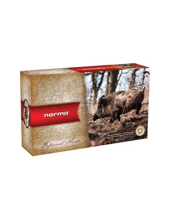 Norma .30-06 Pointe Plastique 180 gr