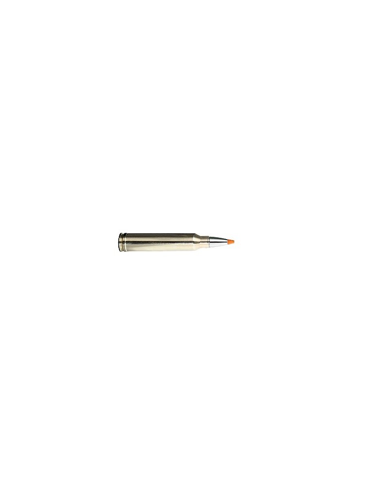 RWS .300 Win. Mag. HIT 165 gr sans plomb