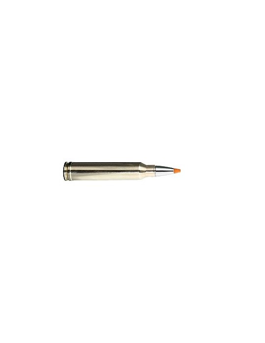 RWS .300 Win. Mag. HIT 165 gr sans plomb