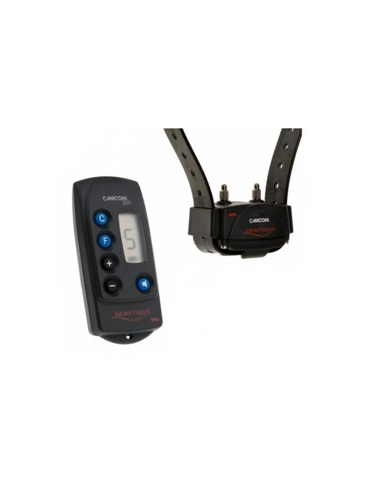 Pack Canicom 200 collier + télécommande
