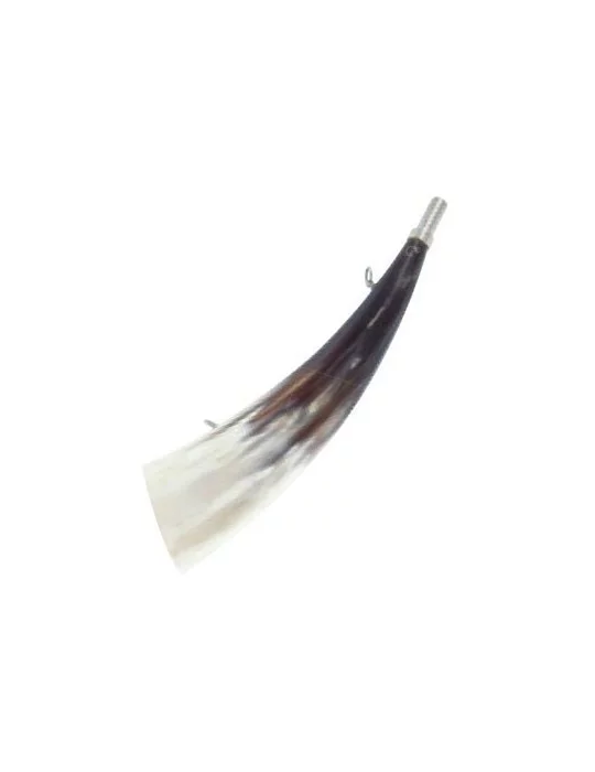 Corne en corne 26 cm + Blister Fuzyon 