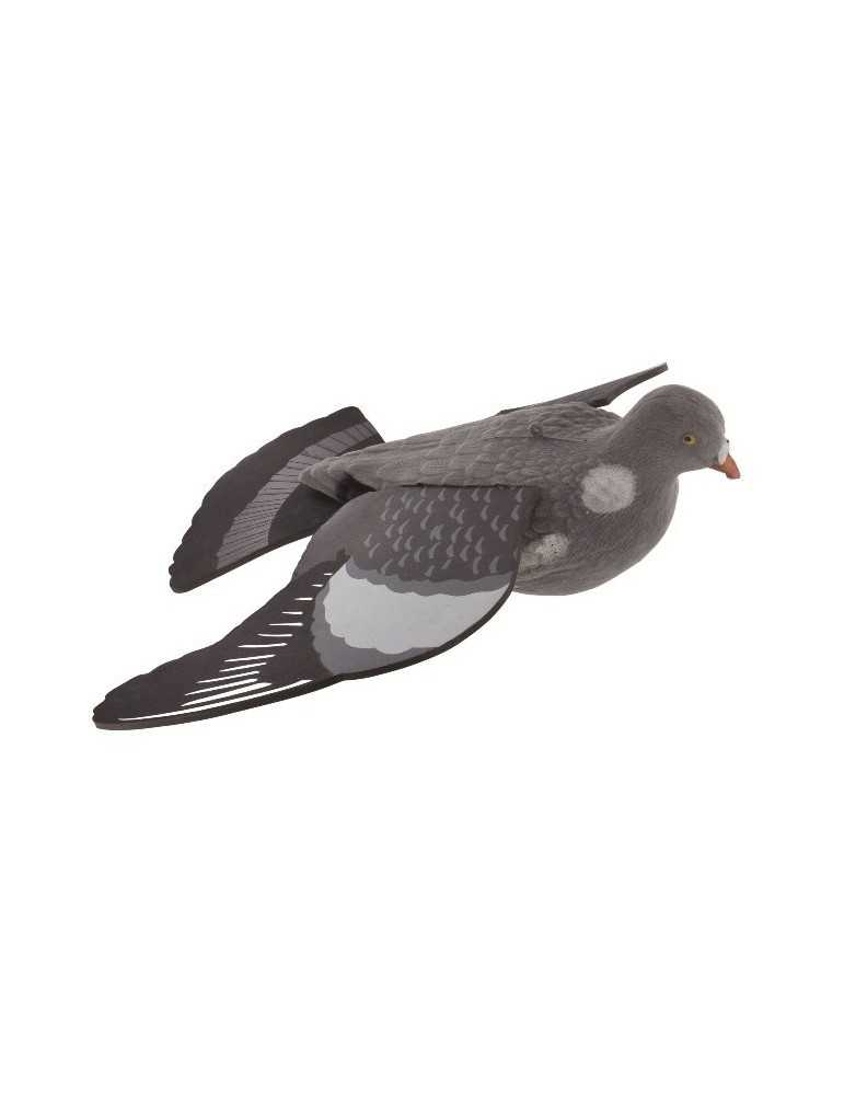 Pigeon mirage en vol