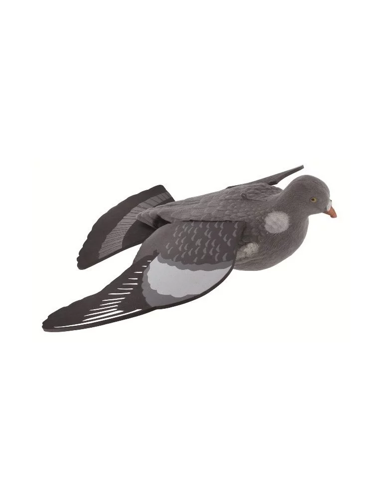 Pigeon mirage en vol