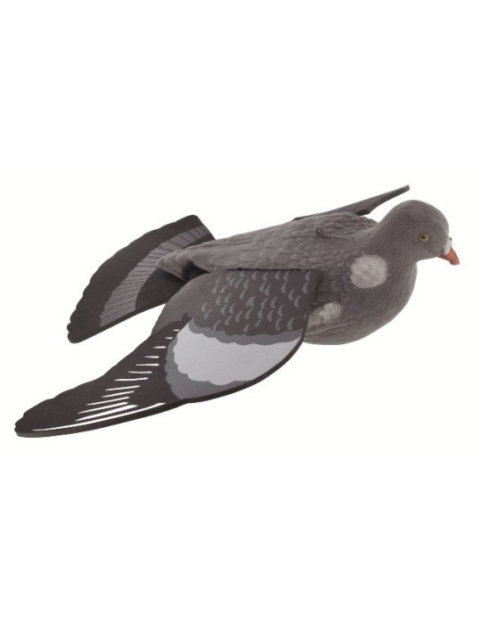 Pigeon mirage en vol