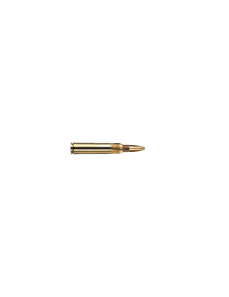 GECO .300 Win. Mag. Plus 170 gr