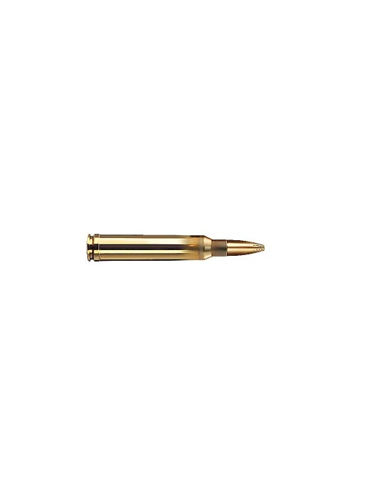 GECO .300 Win. Mag. Plus 170 gr