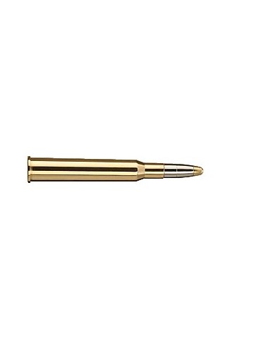 RWS Evolution 7x64 159 grains 2