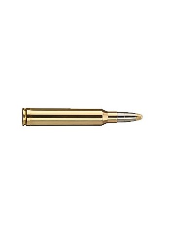RWS Evolution 300Win Mag 184 grains 2