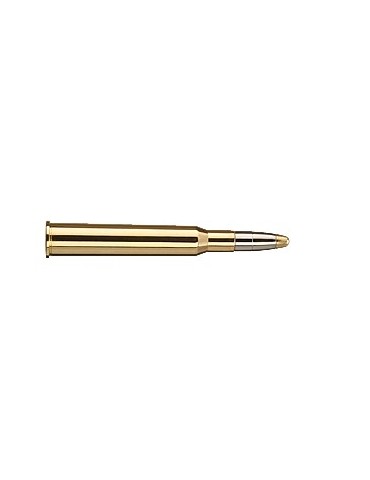RWS Evolution 7x65 R 159 grains 2