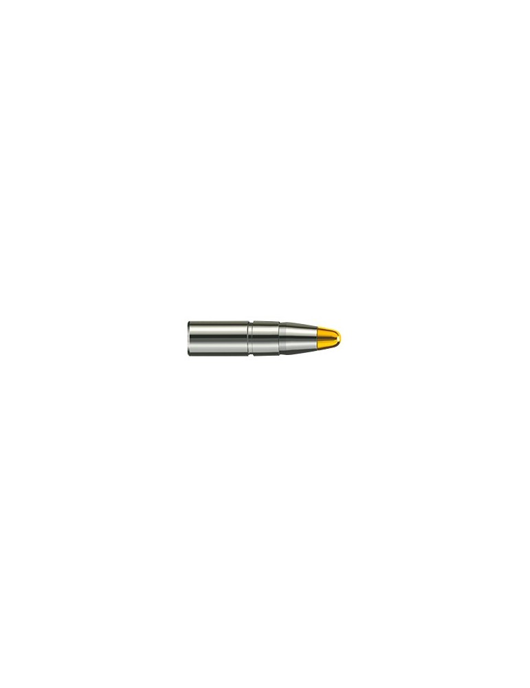 RWS 6.5x55 EVO 156 gr