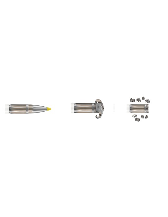RWS 8x57 JRS EVO Green 139 gr sans plomb