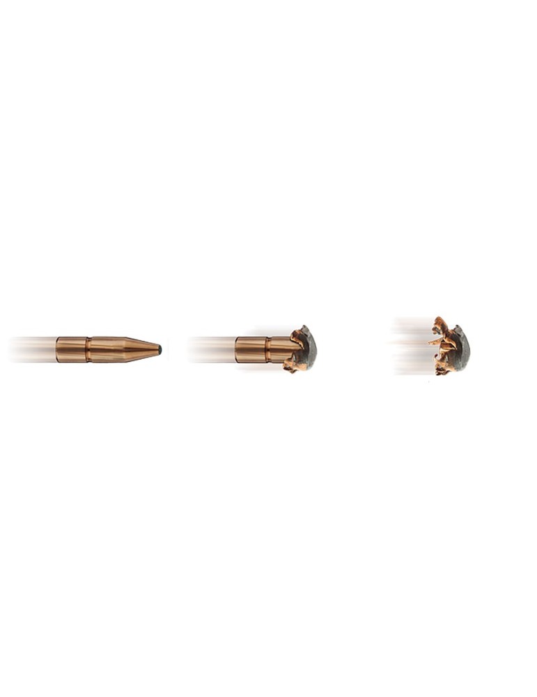 RWS .30-06 KS 150 gr