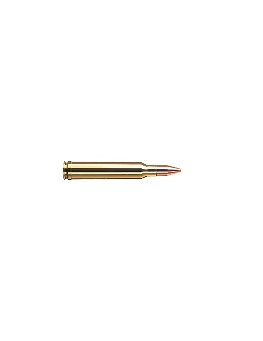 RWS .300 Win. Mag. KS 165 gr