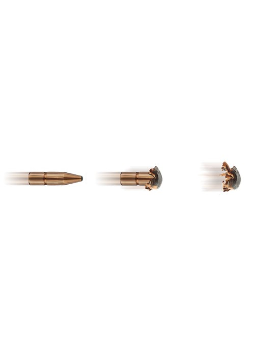 RWS .300 Win. Mag. KS 165 gr