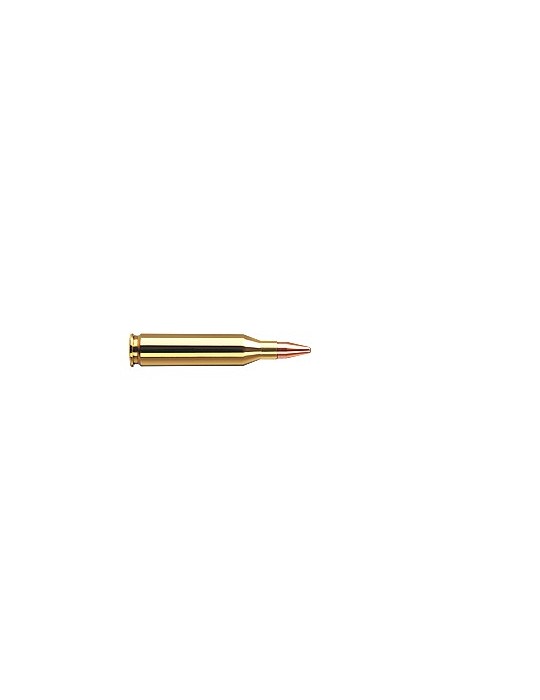 RWS .243 Win. KS 96 gr
