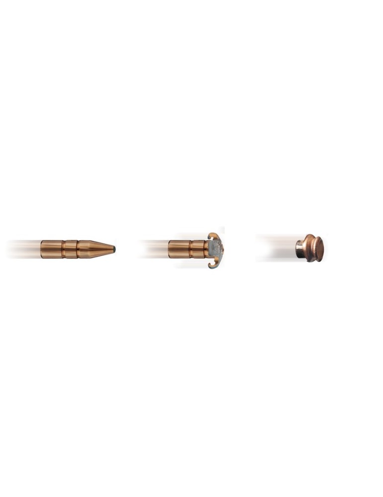 RWS .308 Win. DK 165 gr