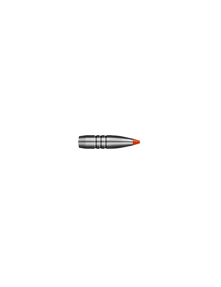 RWS .300 Win. Mag. HIT 165 gr sans plomb