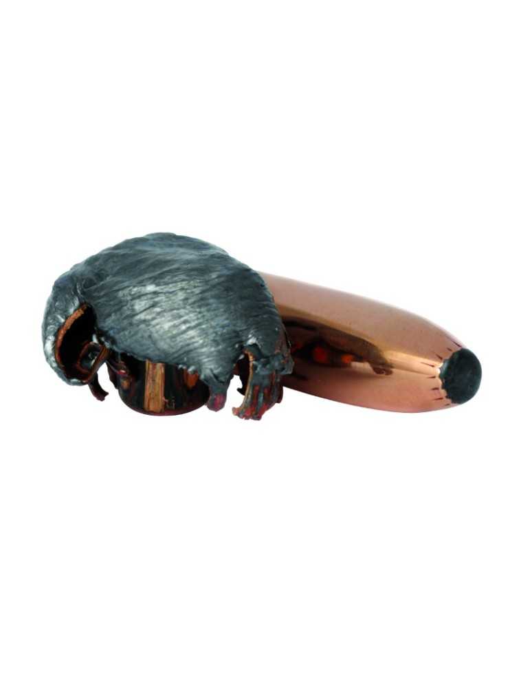 Norma .222 Rem. Oryx 55 gr