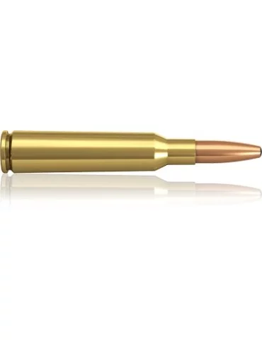 Munition de grande chasse Norma 6.5x55 Oryx 156gr 2