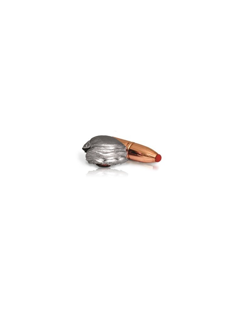 Norma .300 Win. Mag. Pointe Plastique 180 gr