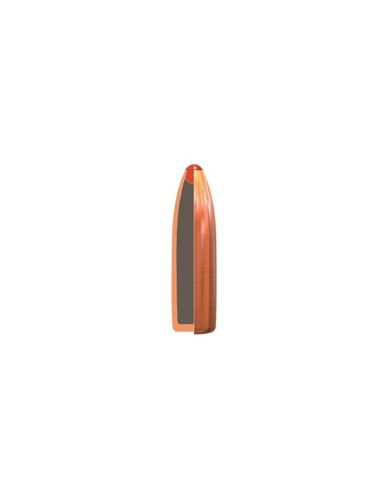 Norma .300 Win. Mag. Pointe Plastique 180 gr