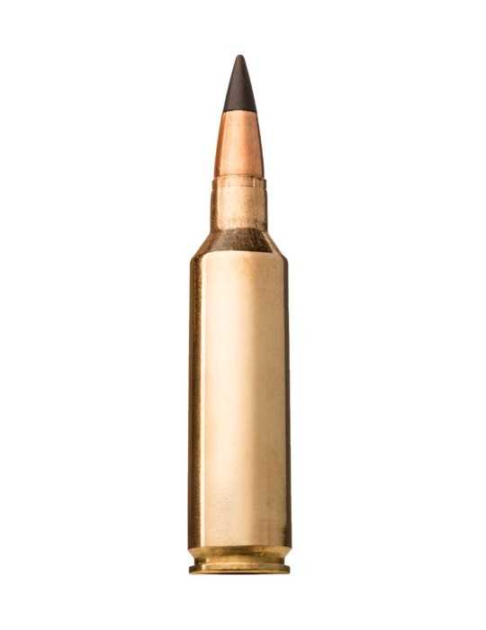 Winchester .270 WSM Extreme Point 130 gr