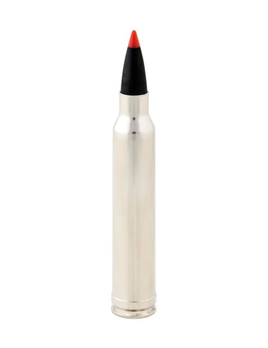 Winchester .300 Win. Mag. Accubond CT 180 gr