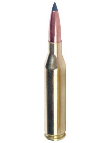 Winchester .22-250 Rem. Varmint-X 55 gr 2