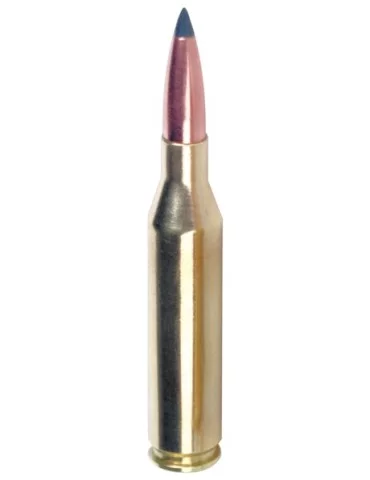Winchester .22-250 Rem. Varmint-X 55 gr 2