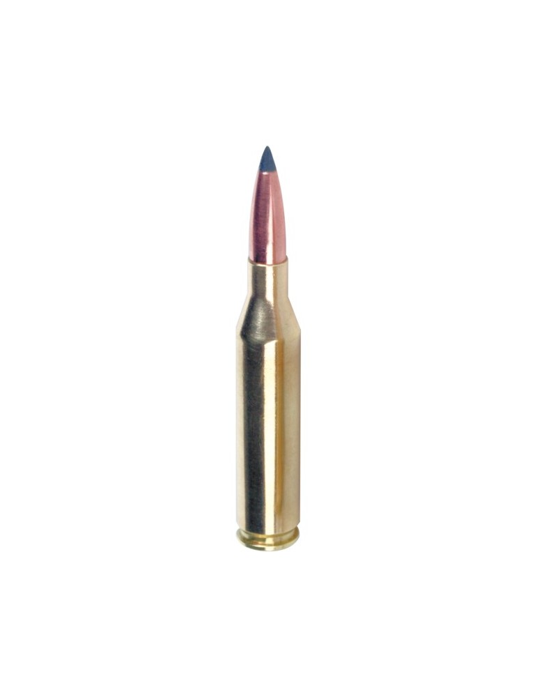Winchester .22-250 Rem. Varmint-X 55 gr