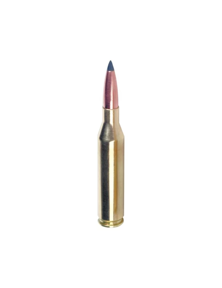Winchester .22-250 Rem. Varmint-X 55 gr